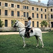 Barcelo Montecastillo Golf Hotel offers Horse Riding packages